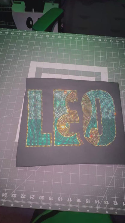 LEO 2025 SS10